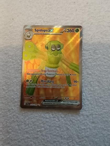 Spidops ex